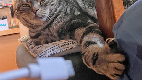 何気なく爪をたてるラキ