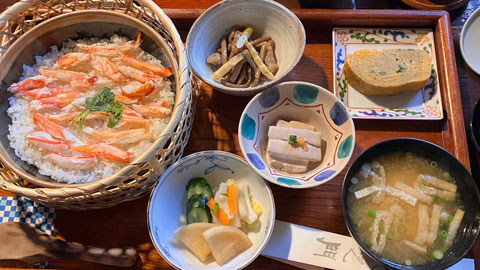 お腹が満たされて寛ぐ猫達