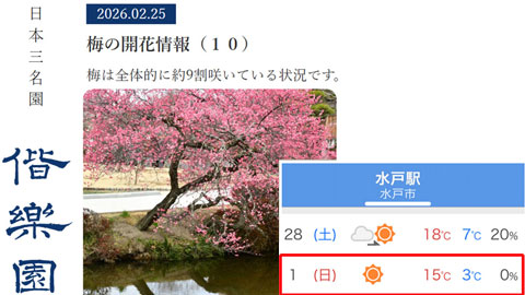 水戸オフを控え梅も天気も上々